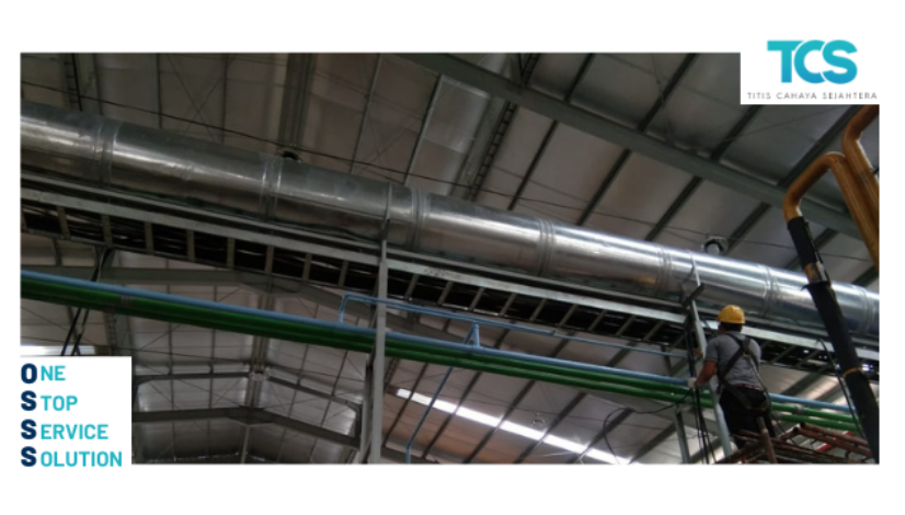 Website (1)